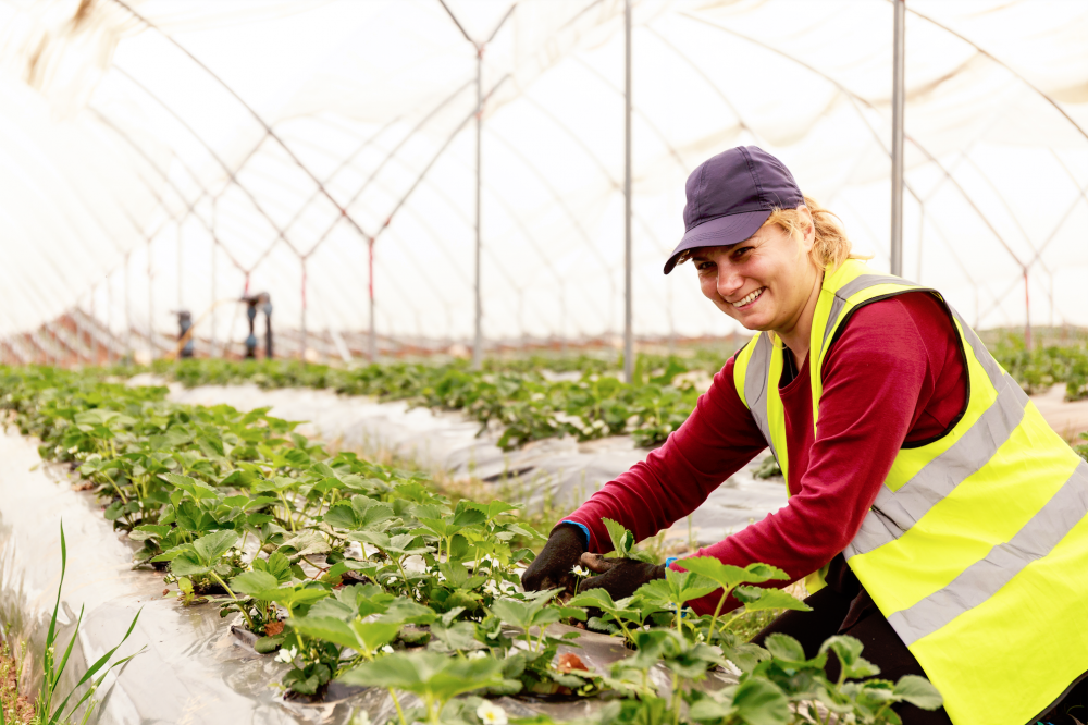 Happy women at Haygrove farm